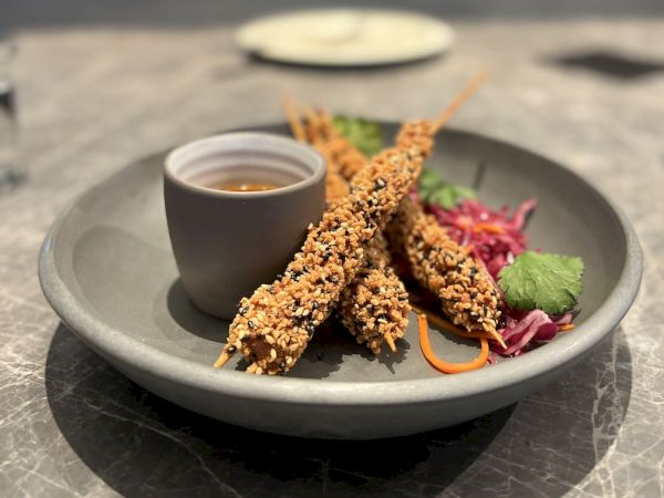 The image shows skewers coated in seeds, a small cup of dipping sauce, and a garnish of vegetables on a plate.